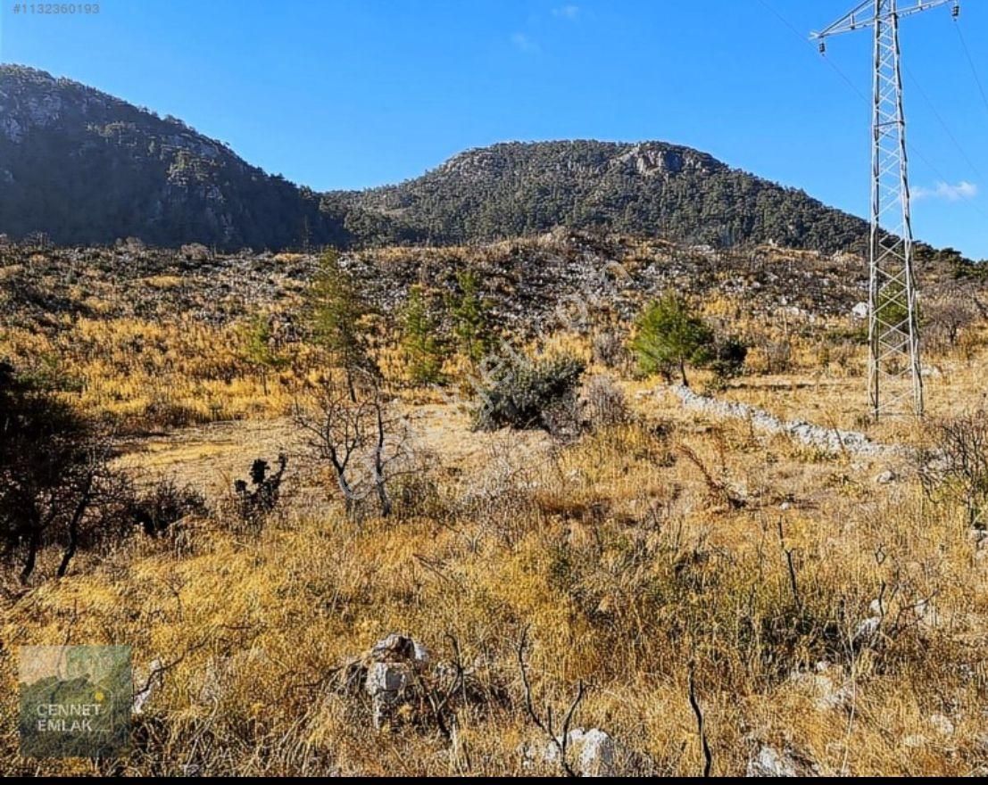 Coldwell Banker Burak Efe Den Marmaris Bayır Da Tarla - Görsel 3