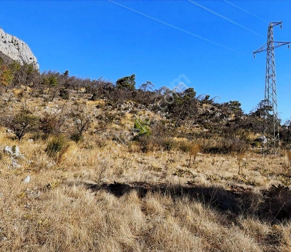 Coldwell Banker Burak Efe Den Marmaris Bayır Da Tarla - Görsel 4