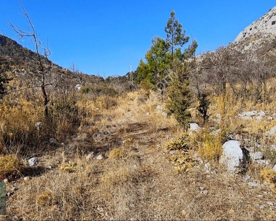 Coldwell Banker Burak Efe Den Marmaris Bayır Da Tarla - Görsel 9