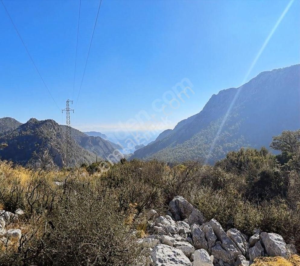 Coldwell Banker Burak Efe Den Marmaris Bayır Da Tarla - Görsel 5