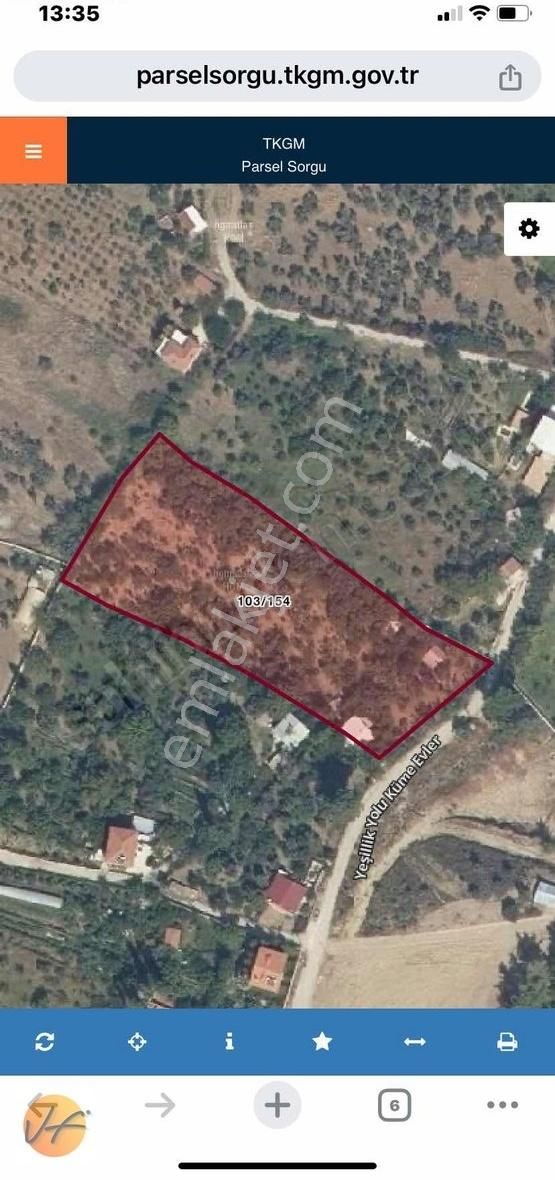 Kemalpaşa Nazarköy Satılık Bağ & Bahçe İzmir Kemalpaşa Nazarköyde 1750m2 Satılık Zeytinli Tarla