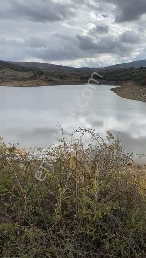 Kula Kenger Satılık Tarla Satılık bahçe 