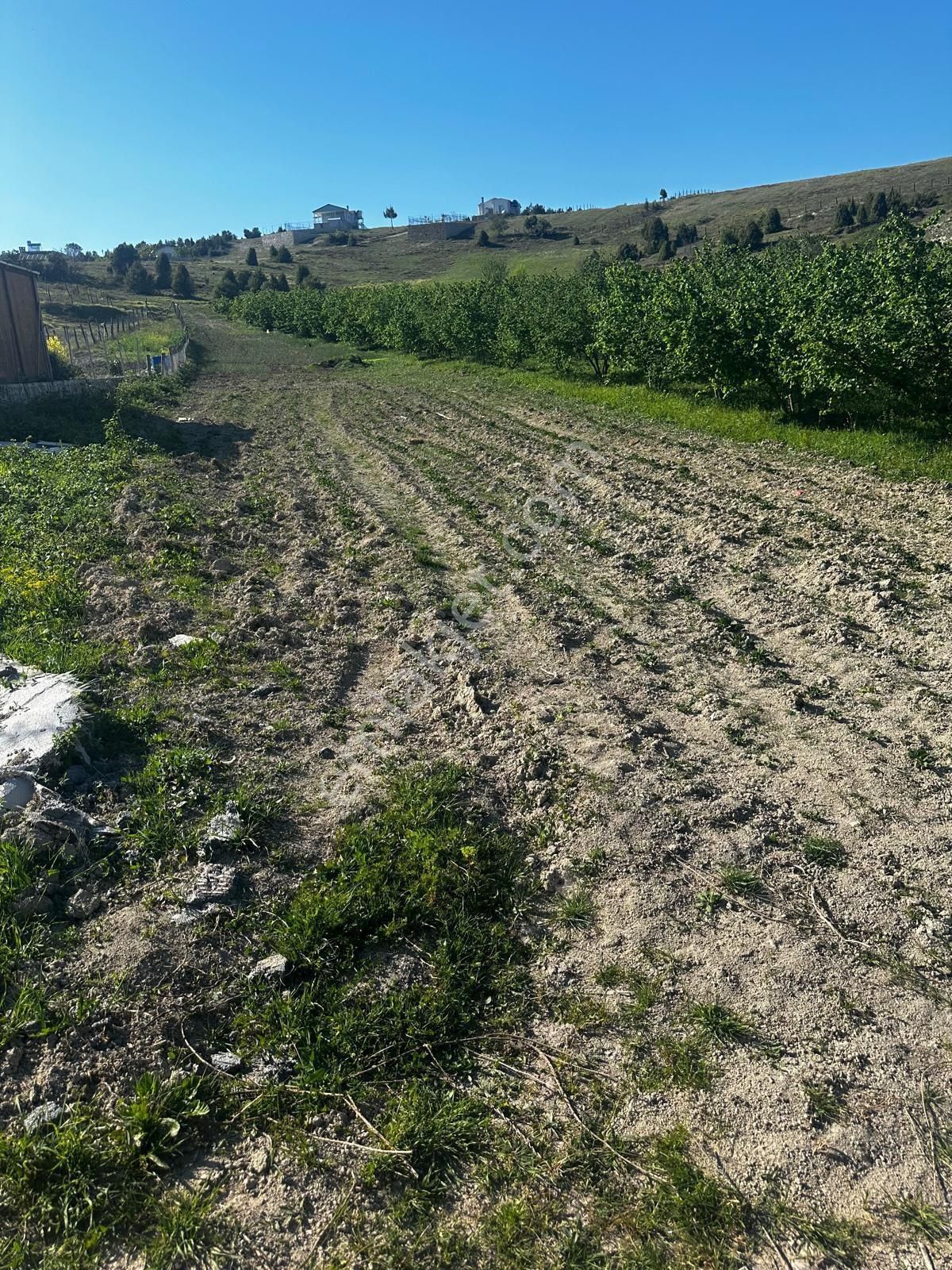 Kandıra Yağcılar Satılık Tarla KOCAELİ KANDIRA YAĞCILARDA.AĞVAYA 10 DAKİKA MESAFEDE