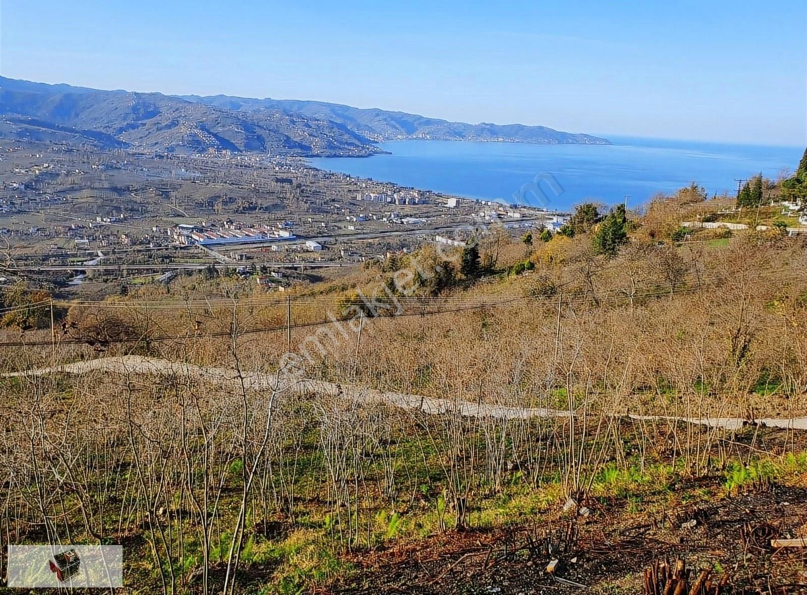 Altınordu Boztepe Satılık Bağ & Bahçe BOZTEPE DE DENİZ MANZARALI FINDIK BAHÇESİ