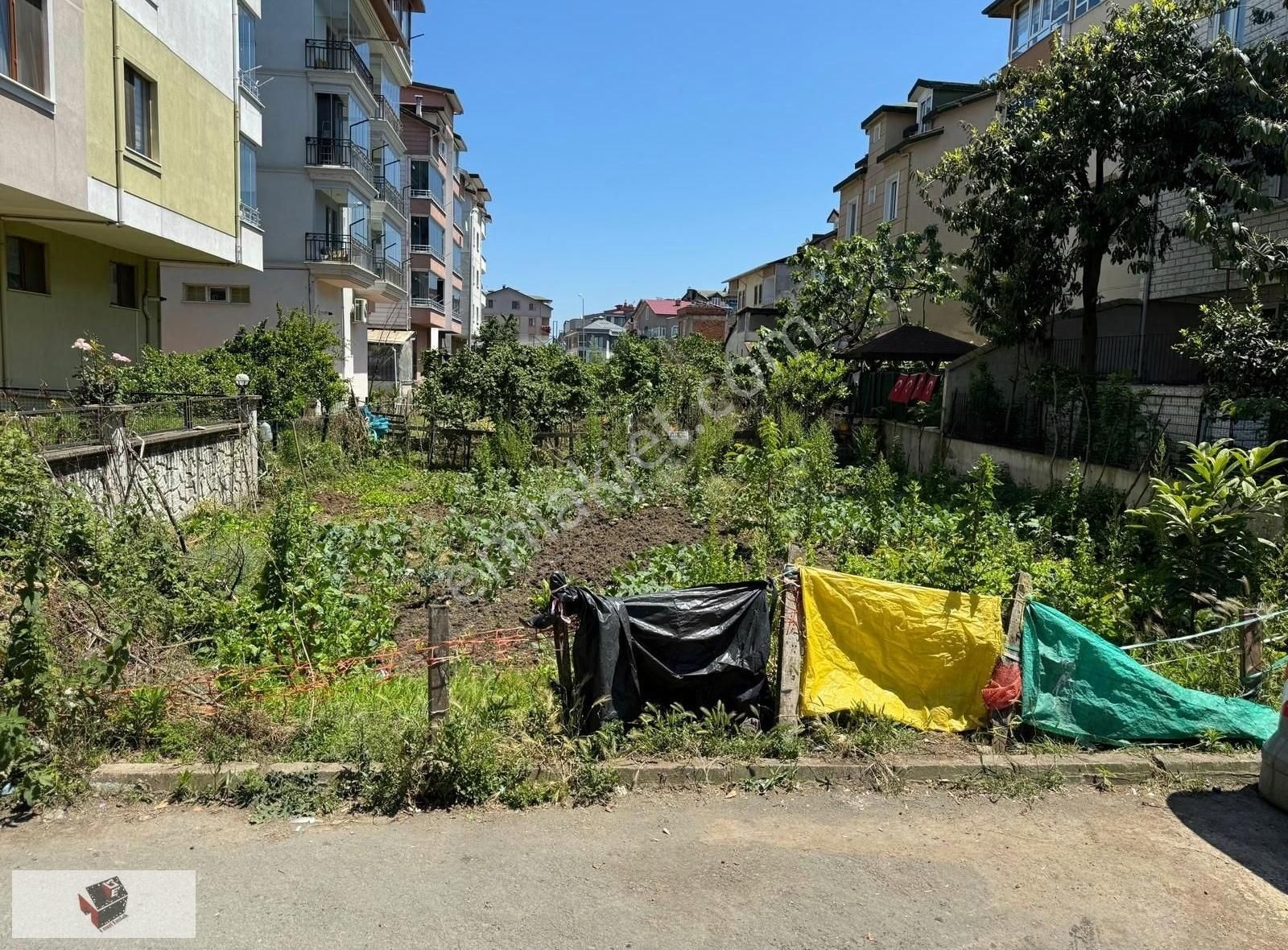 Altınordu Akyazı Satılık Konut İmarlı AKYAZI MAHALLESİNDE SATILIK ARSA