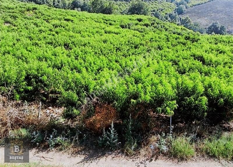 Yenişehir 50. Yıl Satılık Ticari İmarlı BEŞTAŞTAN 50,YILDA 2 KATA İMARLI SATILIK ARSA