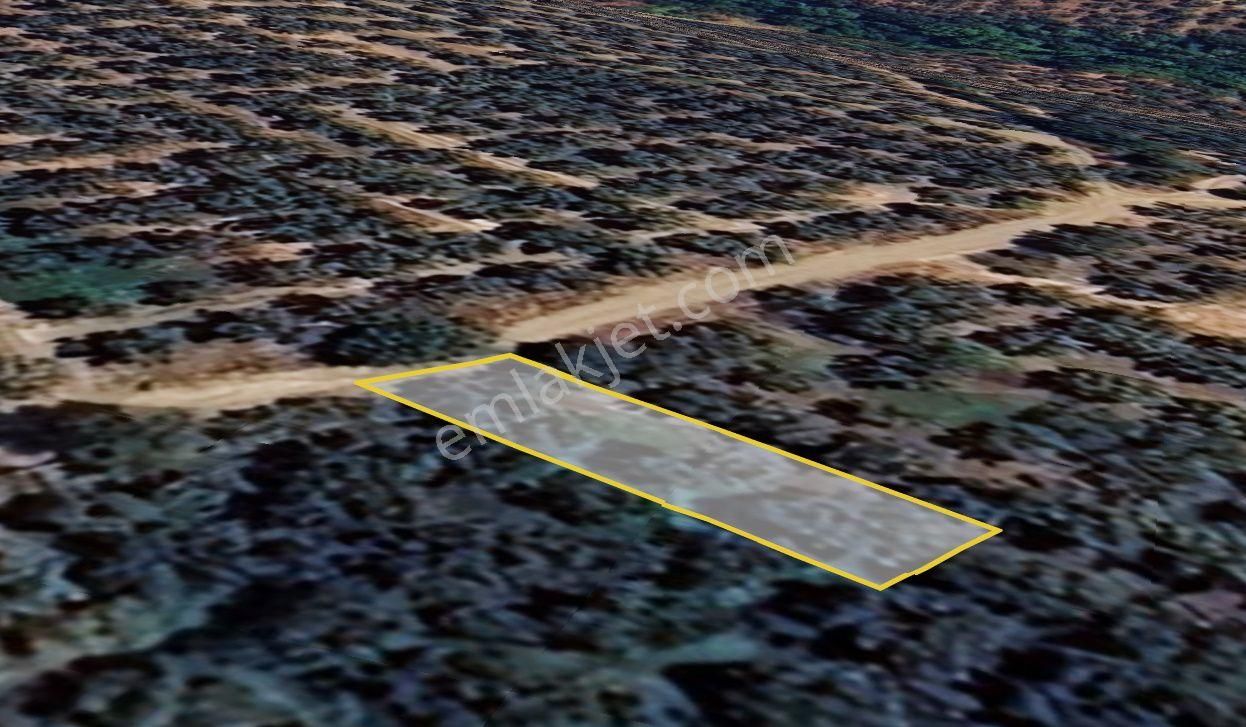Kentmax'tan Çakırlıda 256 M2 Resmî Yola Cephe Hobi Bahçesi - Görsel 8