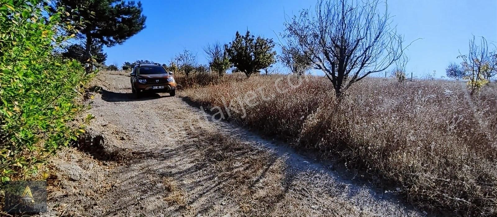 Gölpazarı Armutçuk Köyü Satılık Tarla Yatırım Fırsatı Resmi Kadastro Yollu Tarla 2557 Metre 575.000 Tl