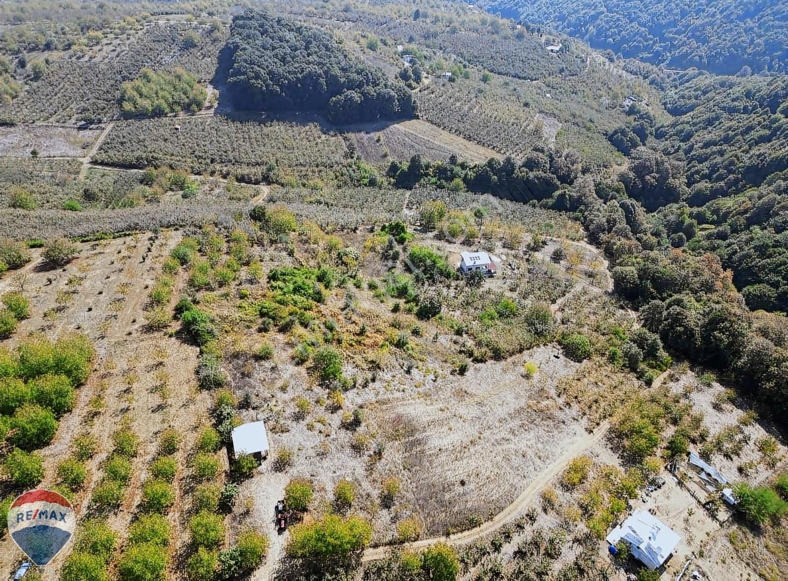 Serdivan Çubuklu Satılık Bağ & Bahçe Serdivan Çubuklu Satılık 648m2 Bağ