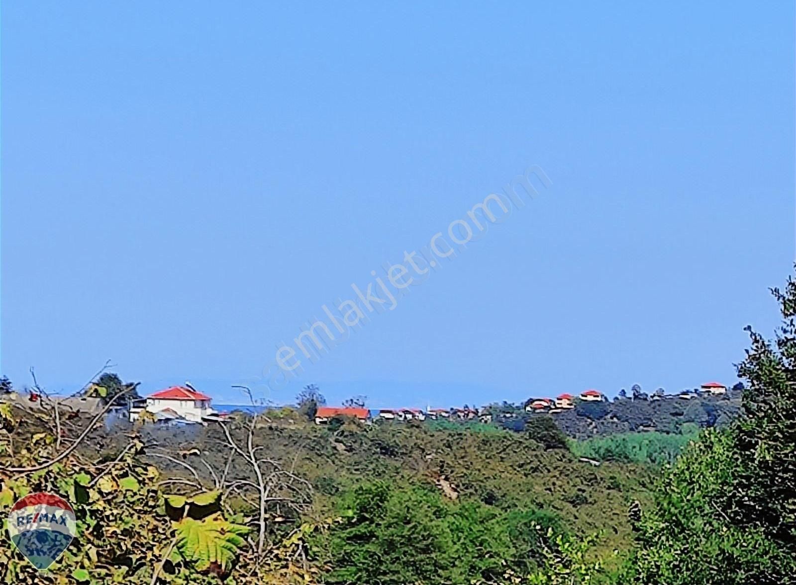 Kocaali Caferiye Satılık Konut İmarlı Re/max Mavi'den 7300m2 Ev Yapılabilir Deniz Manzaralı Fınd. Bah.