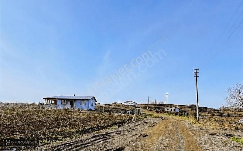 Adapazarı Aşırlar Satılık Tarla Egemen Bozkurt Tan Aşırlar Da Yatırıma Uygun Elekt.su Vardır