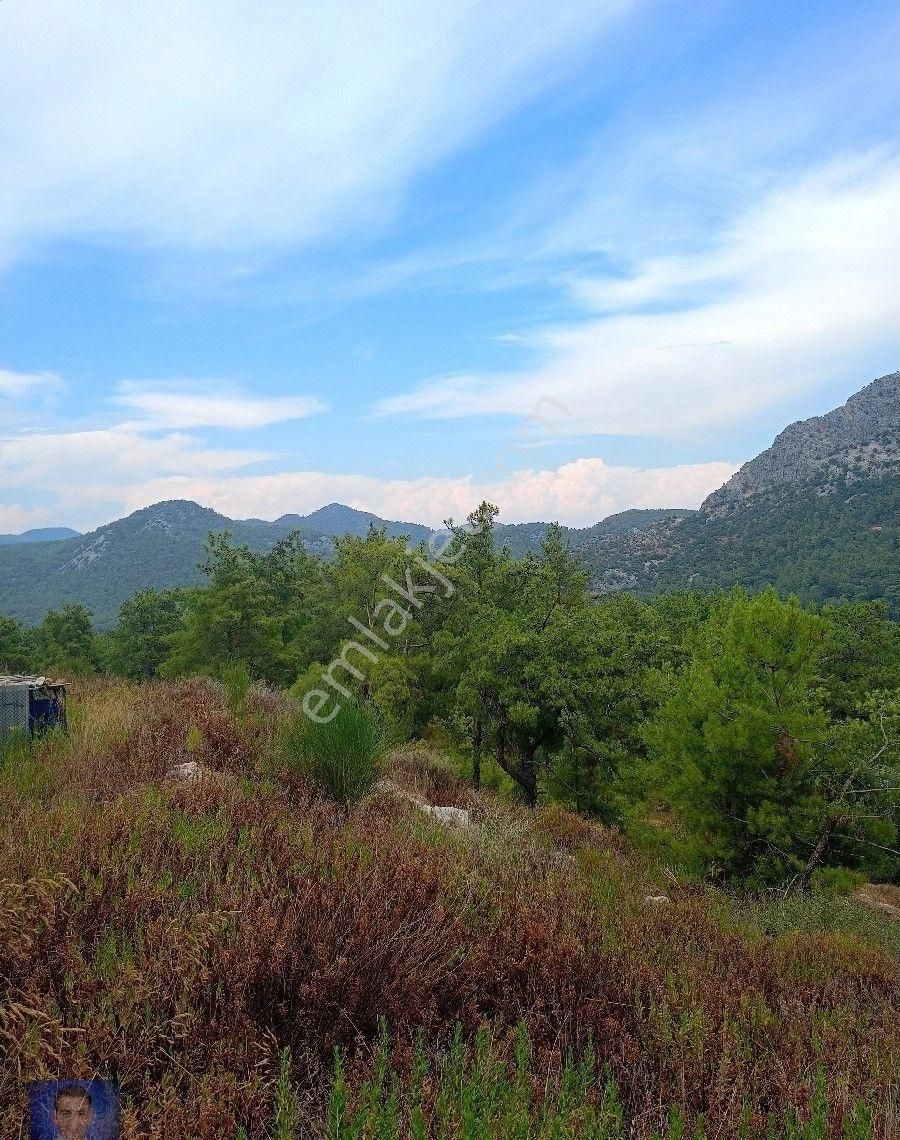 Sorunsuz Müstakil Tapulu Fırsat Tarla - Görsel 18