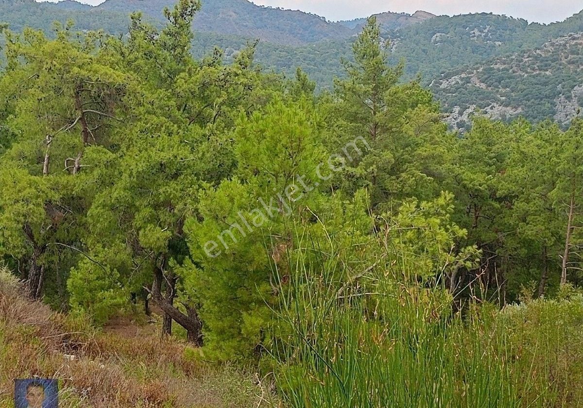 Sorunsuz Müstakil Tapulu Fırsat Tarla - Görsel 16