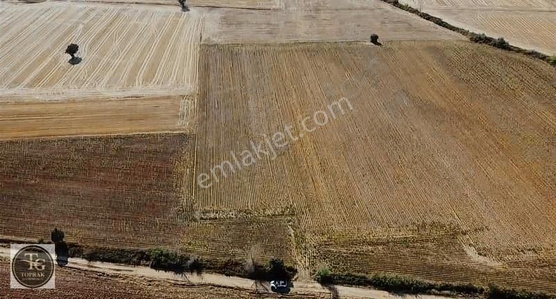 Kırklareli Merkez Kavaklı Bld. (Celaliye) Satılık Tarla Kırklareli Kavaklı Beldesinde 16.500 M2 Satılık Yatırımlık Arazi