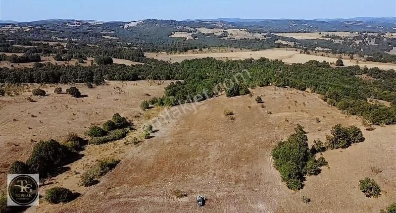 Kırklareli Merkez Koruköy Köyü Satılık Tarla Koruköy'de Satılık 20 Dönüm Arazi, Sakın Kaçırmayın....