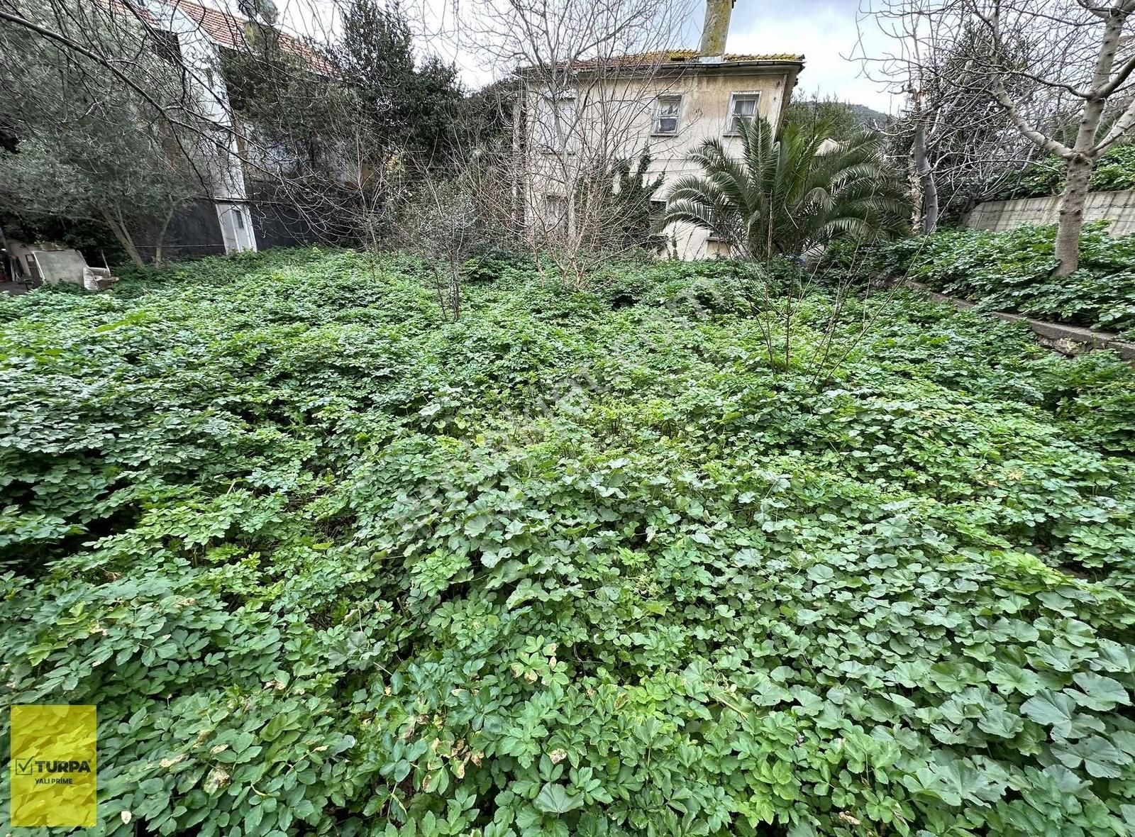 Adalar Heybeliada Satılık Villa İmarlı Deniz,adalar Ve İstanbul Boğaz Manzaralı Arsa