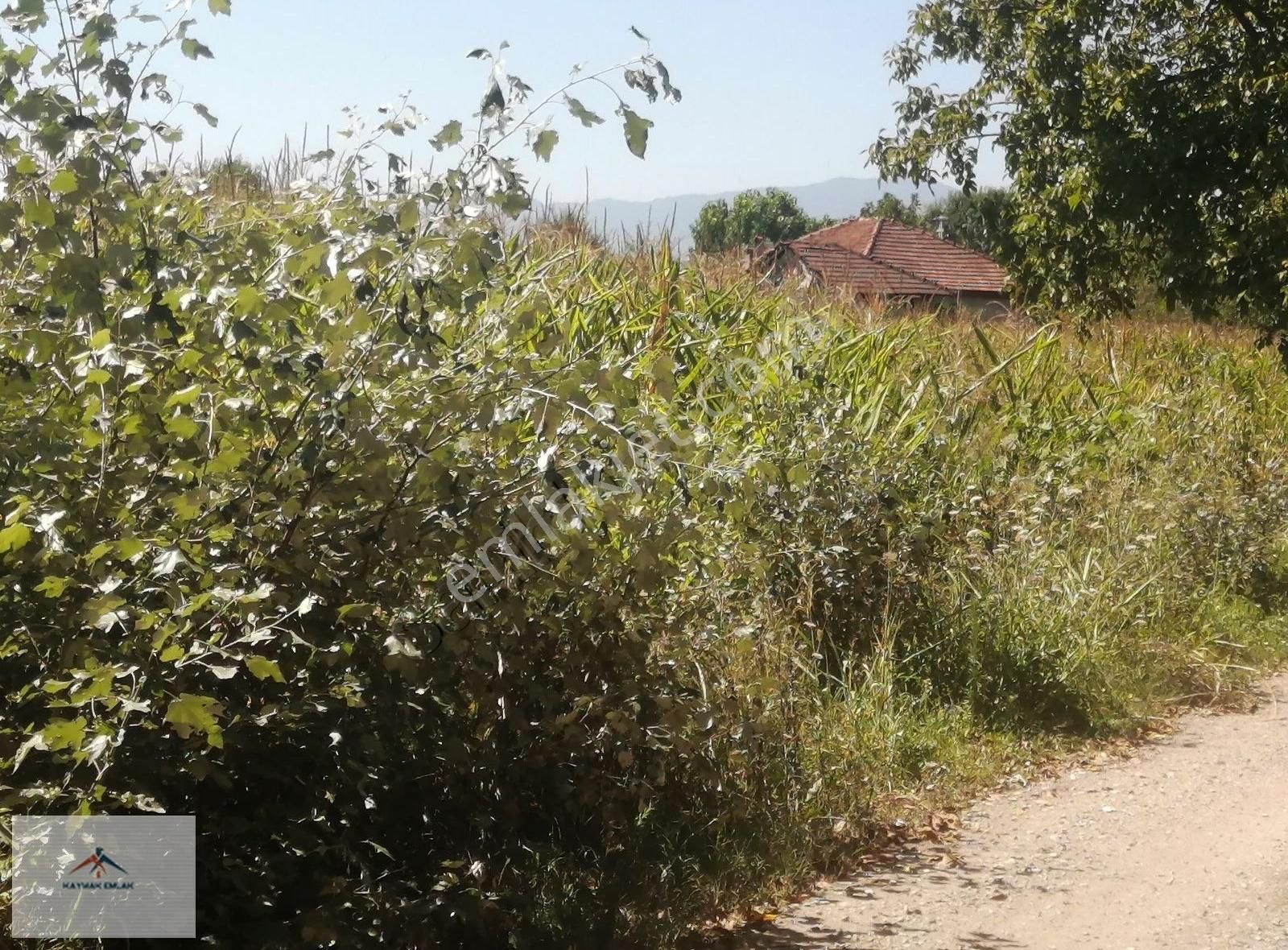 Akyazı Düzyazı Satılık Konut İmarlı KAYMAK EMLAKTAN %40 İMARLI SATILIK ARSA