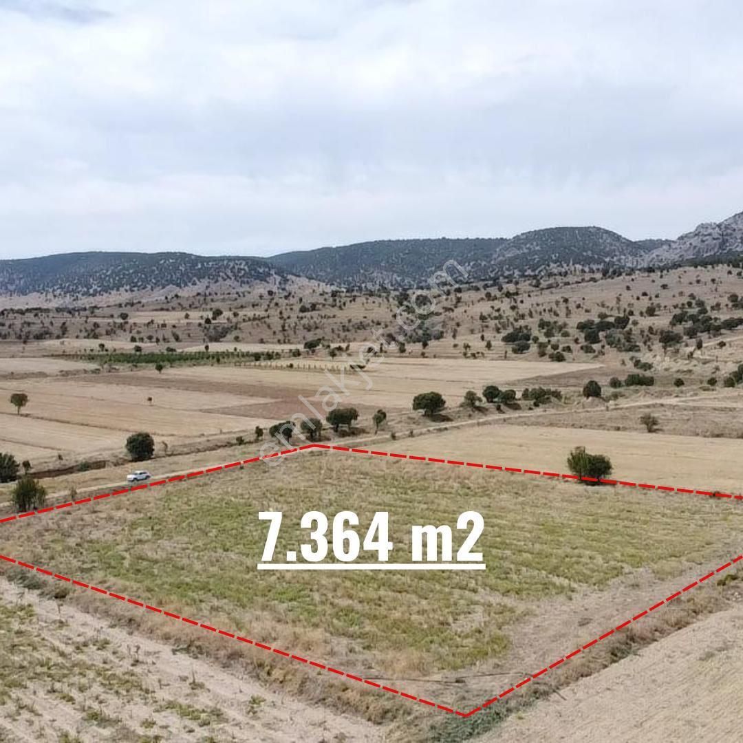 Çivril Yakacık Satılık Tarla Yerli Gayrimenkul'den 7364 M² Yatırımlık Verimli Arazi