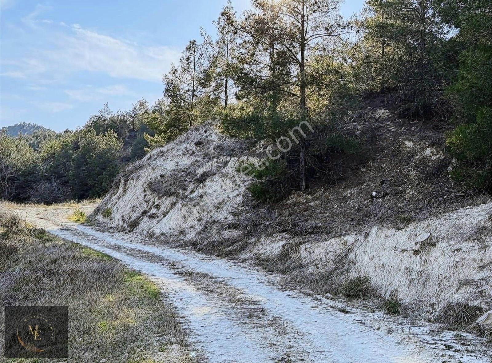 Sarayköy Kumluca Satılık Tarla MUHTARIM EMLAKTAN OKSİJENİ BOL TARLA