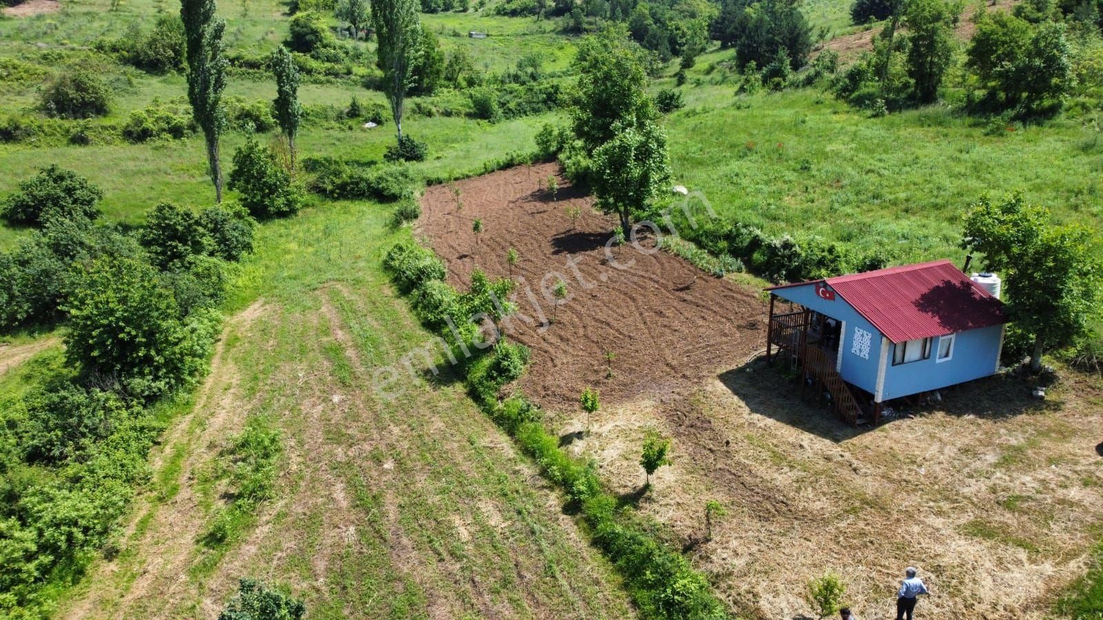 Geyve Hırka Satılık Bağ & Bahçe Geyve hırka da satlik ev ve bahçe