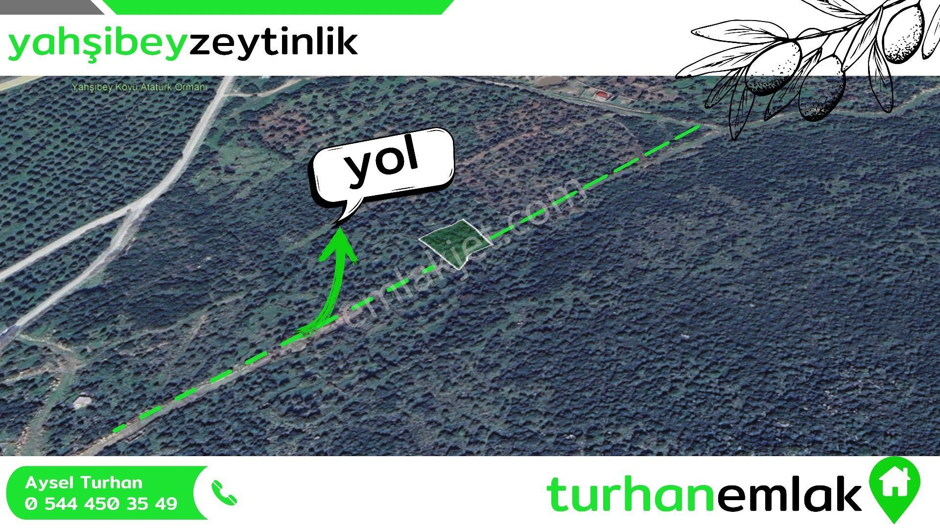 Turhan Emlak'tan Bademli'de Satılık 1300 M² Deniz Manzaralı Tarla - Görsel 5