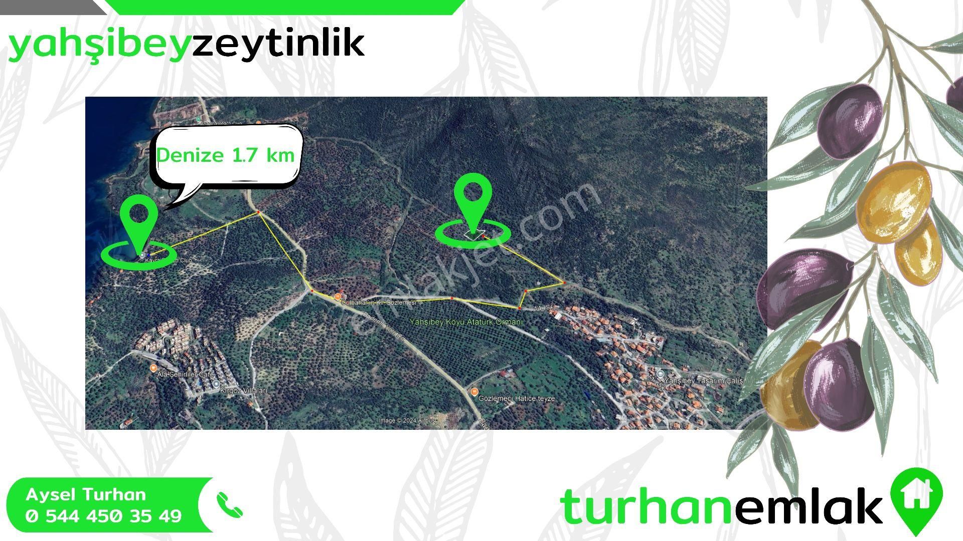 Turhan Emlak'tan Bademli'de Satılık 1300 M² Deniz Manzaralı Tarla - Görsel 8