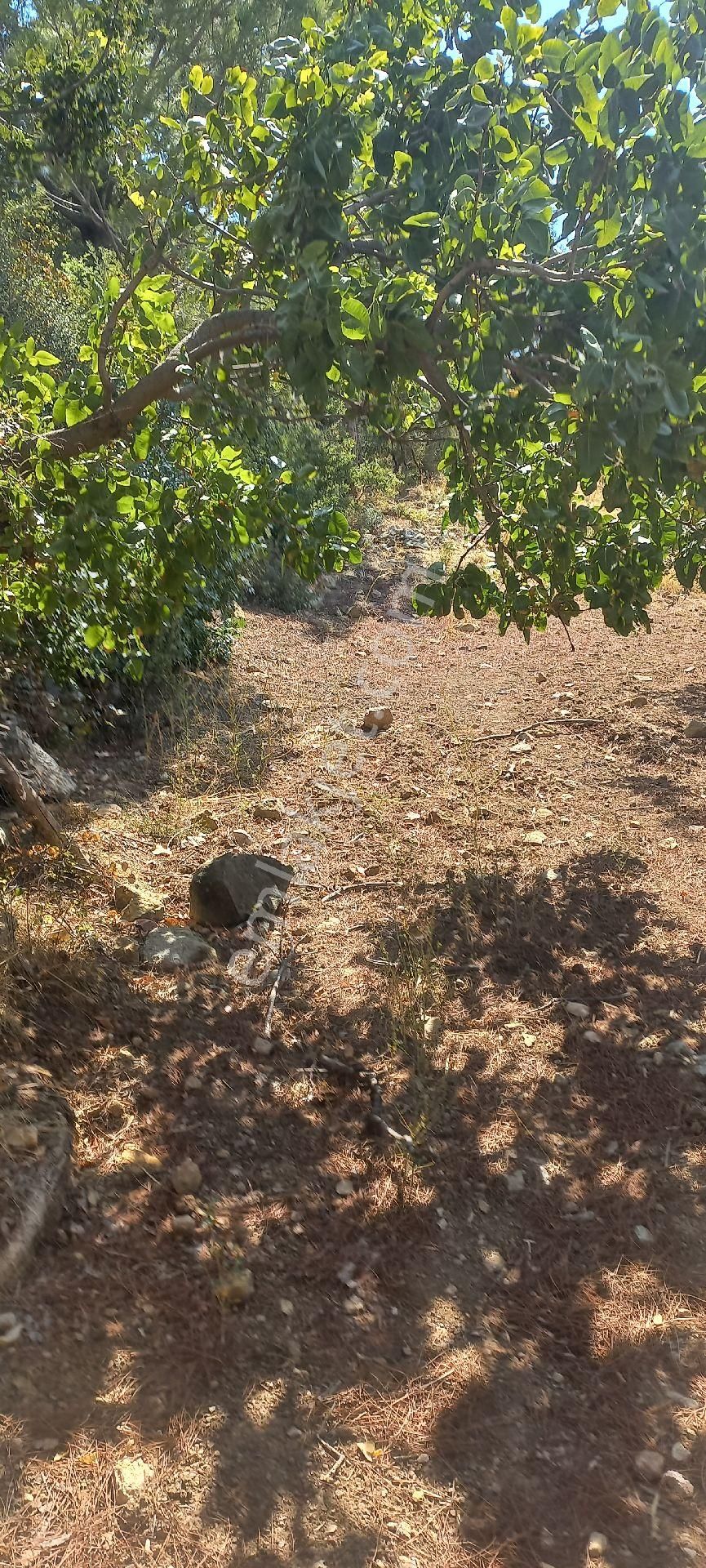 Satılık Müstakil Tapu - Görsel 8