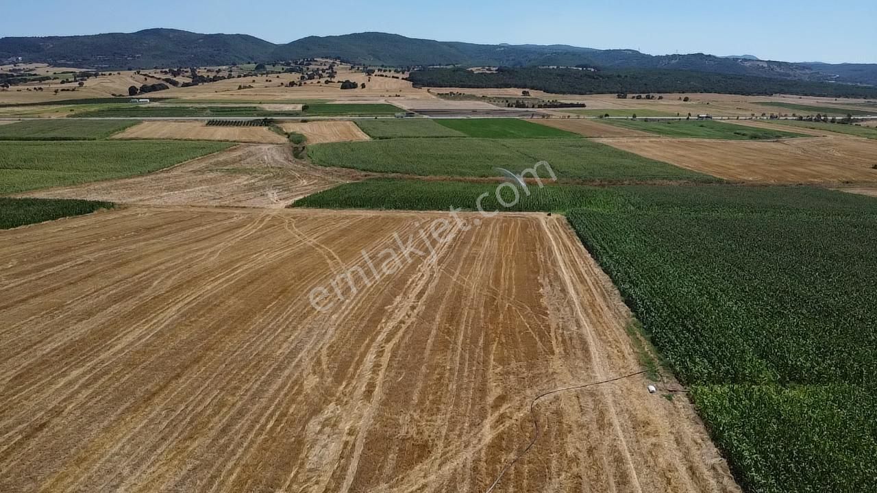 Biga Güvemalan Köyü Satılık Tarla  GÜVEMALAN SATILIK 8723 M2 TARLA