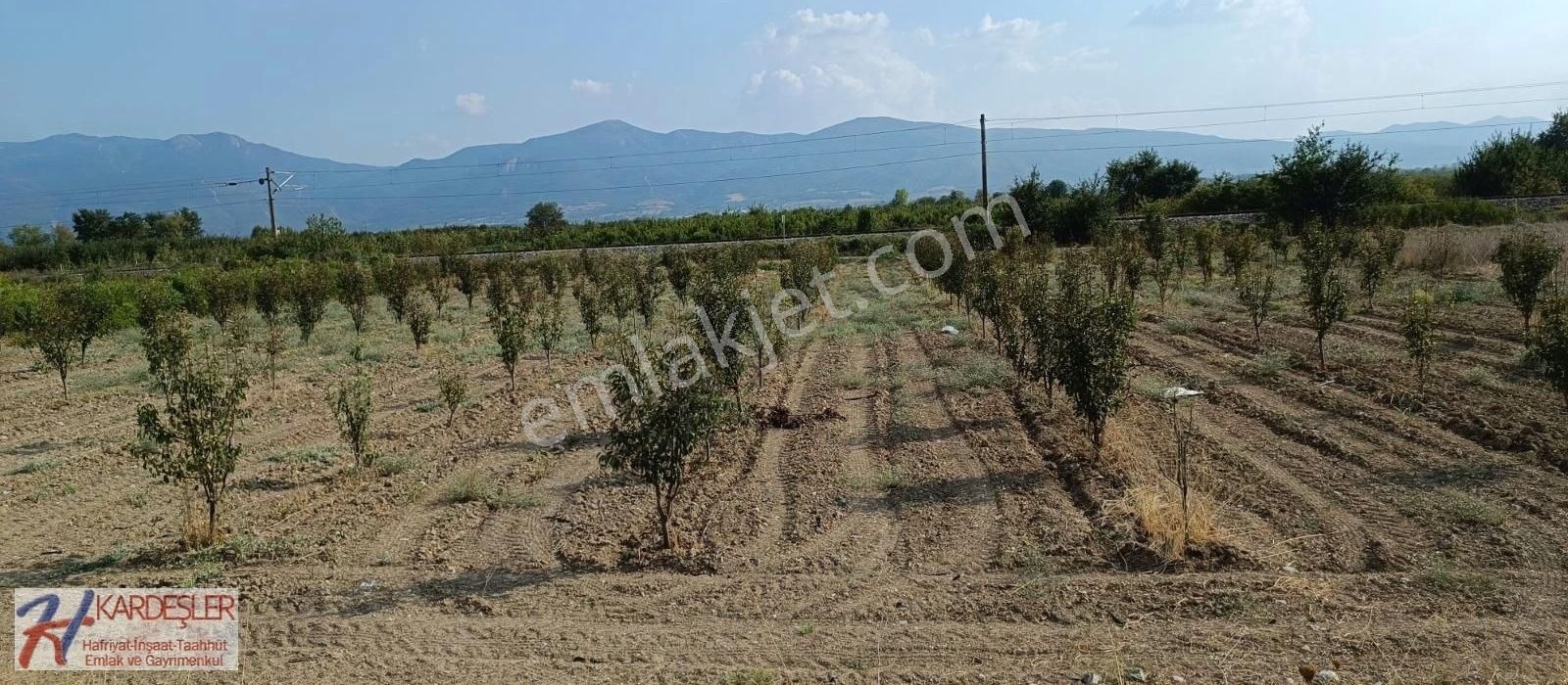 Pamukova Oruçlu Satılık Ticari İmarlı SAKARYA PAMUKOVA ORUÇLU MAH.D650 KARAYOLUNA CEPHE İMARLI ARAZİ