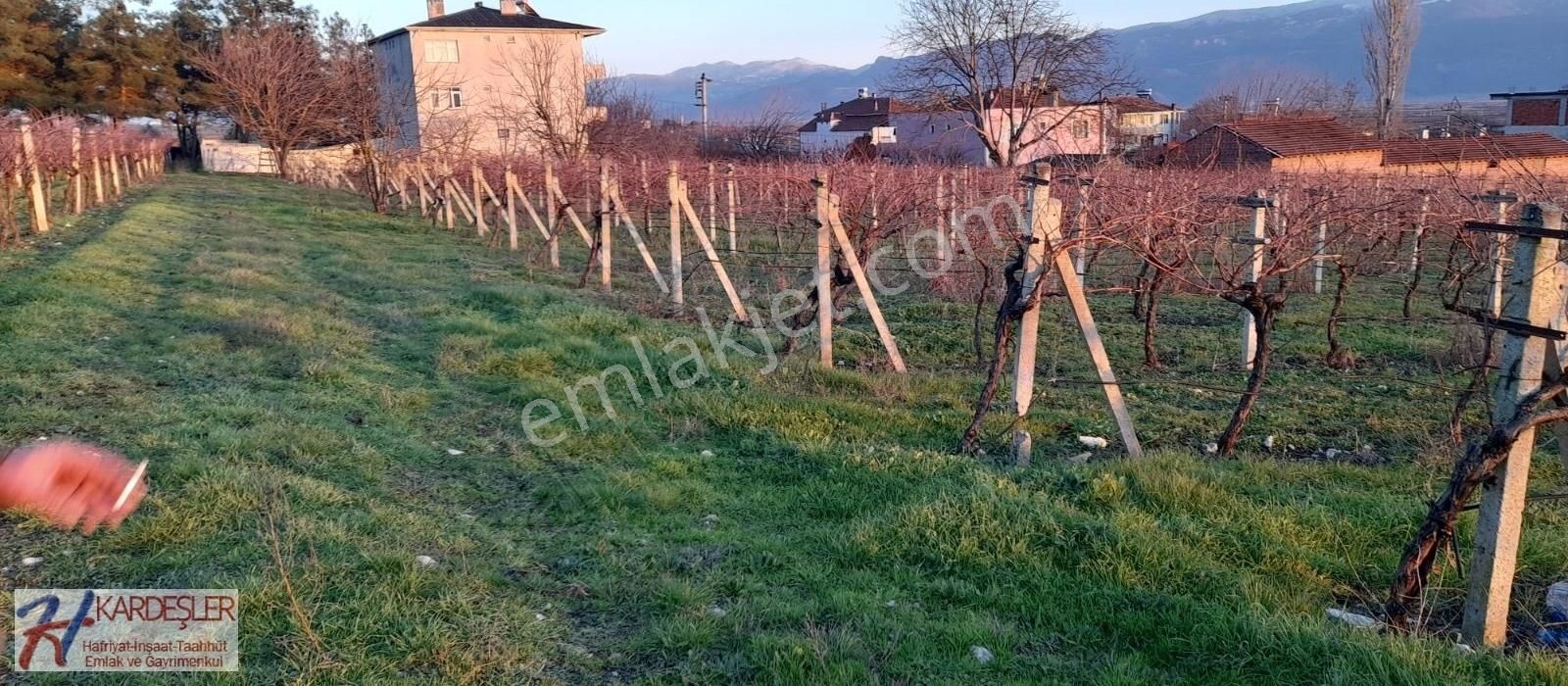 Pamukova Oruçlu Satılık Konut İmarlı SAKARYA PAMUKOVA ORUÇLU MAH. %40 KONUT İMARLI 5 ADET ARSA