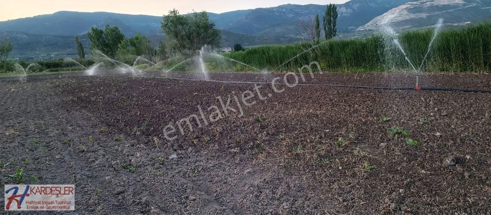 Pamukova Paşalar Satılık Tarla SAKARYA PAMUKOVA PAŞALAR MAH. 10.600 M2 VERİMLİ YATIRIMLIK ARAZİ