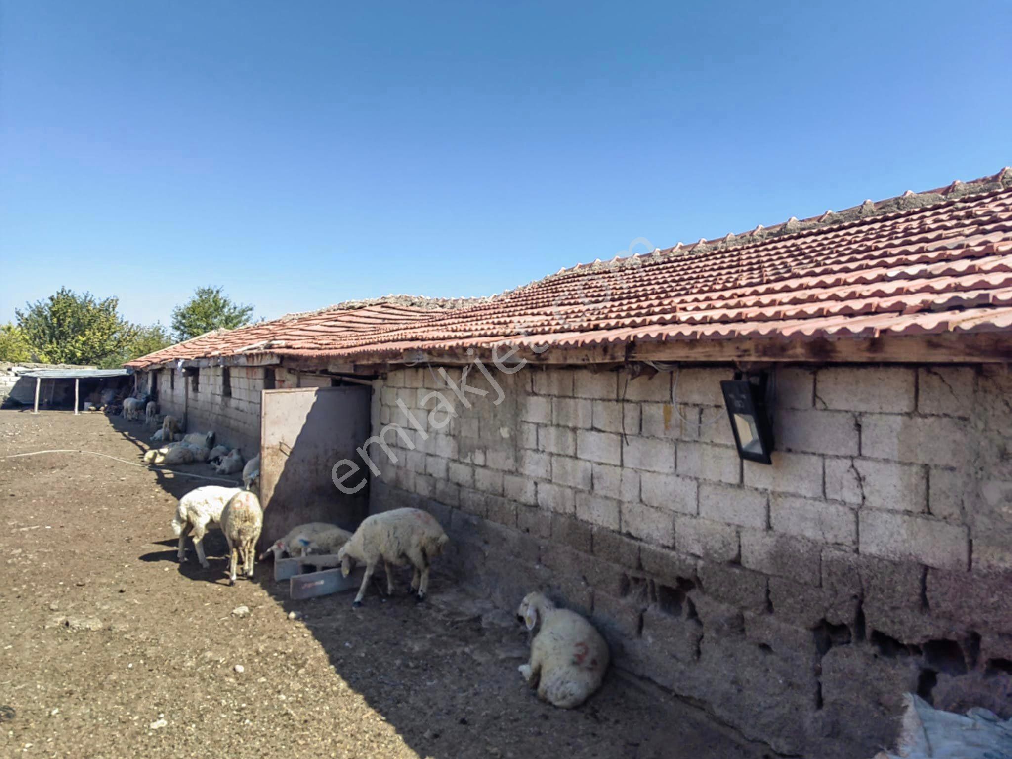 Satılık İşyeri - Görsel 5