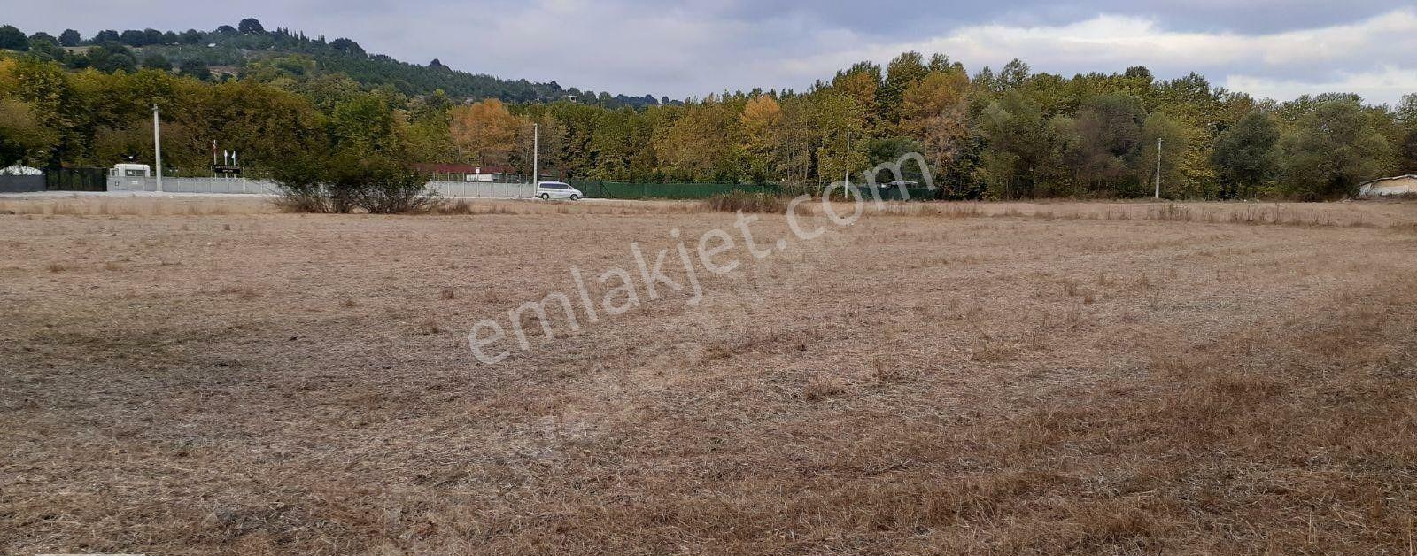 Satılık Dümdüz Tarla - Görsel 5