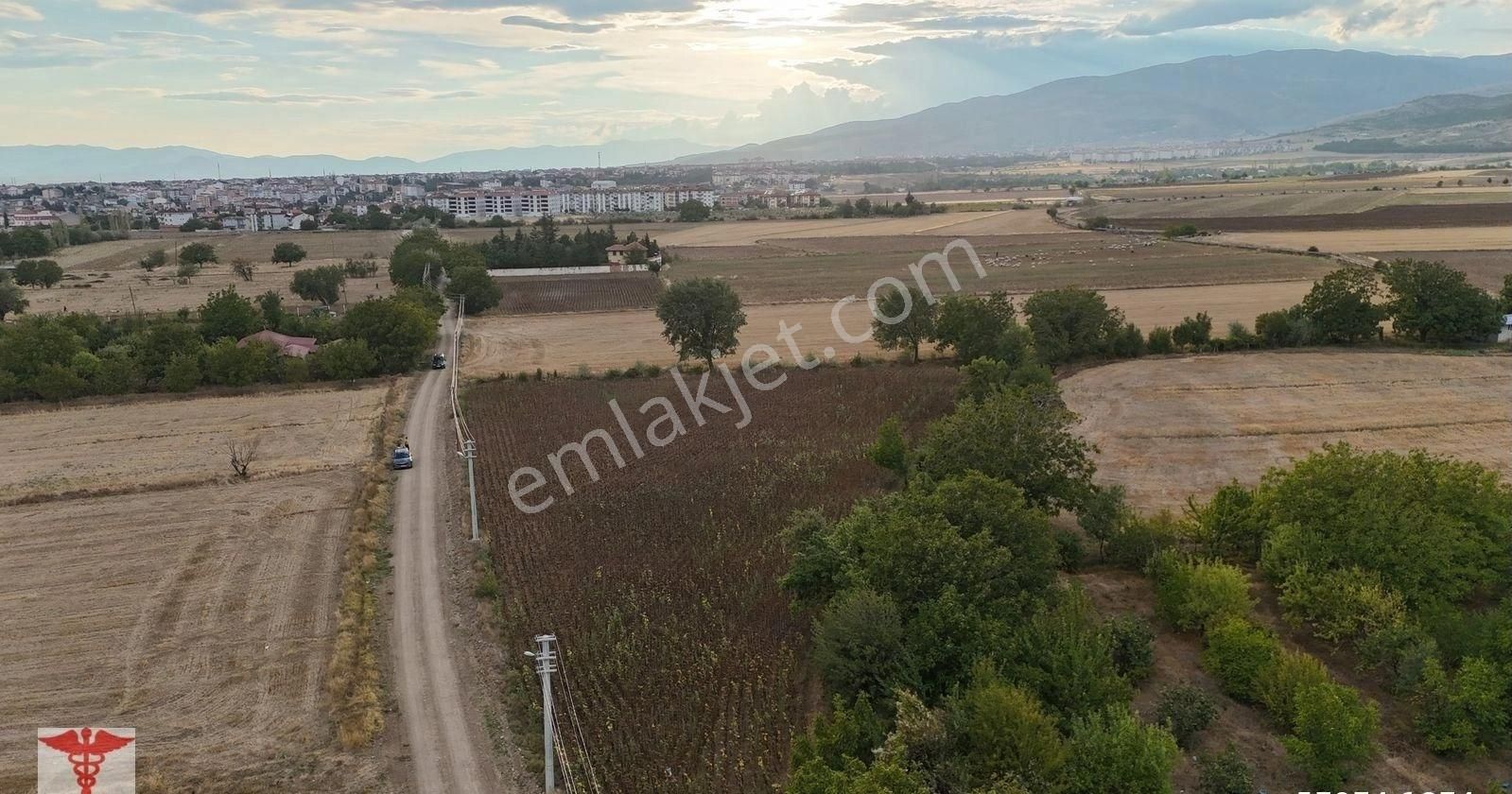 Merzifon Abidehatun Satılık Tarla KLASS EMLAKTAN SATILIK TARLA