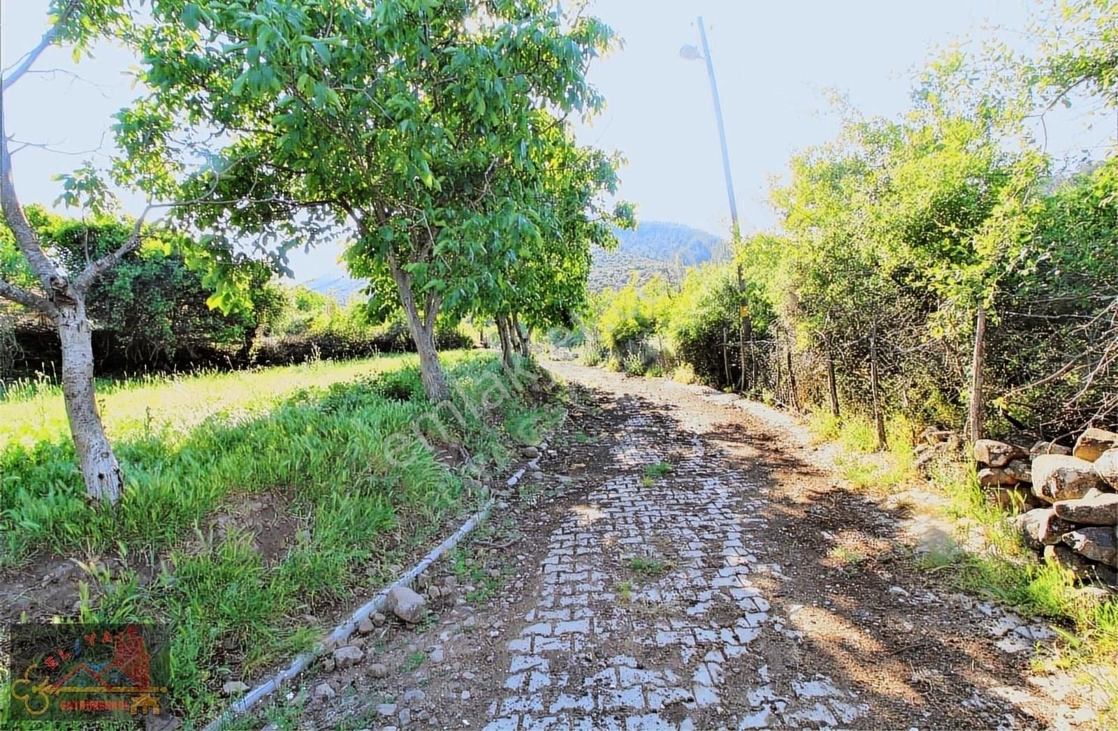 El/ya Ataköyde Köy İçerisinde 4288 M2 Arsa Taş Ev Yetişmiş Ağaç - Görsel 31