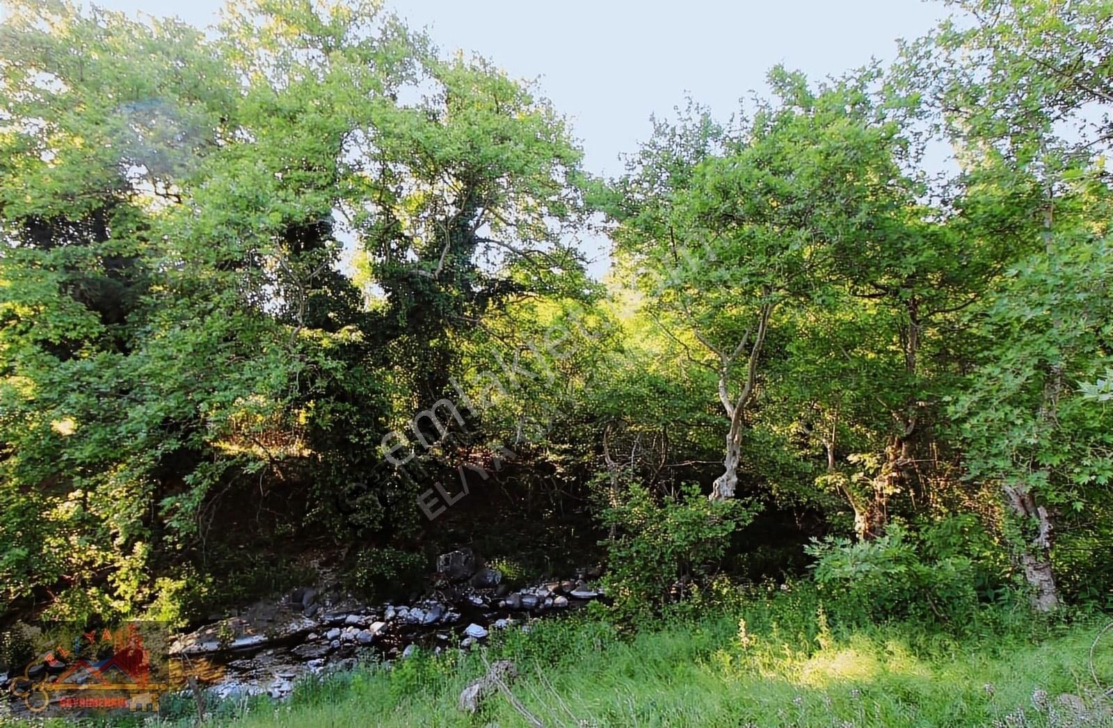 El/ya Ataköyde Köy İçerisinde 4288 M2 Arsa Taş Ev Yetişmiş Ağaç - Görsel 12