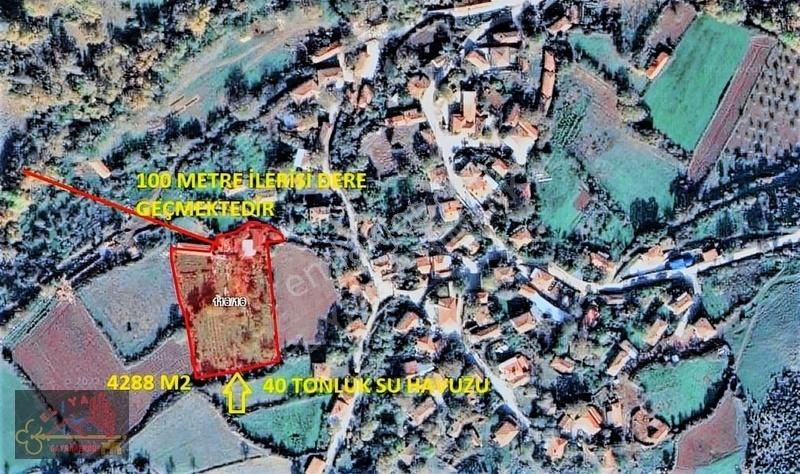 El/ya Ataköyde Köy İçerisinde 4288 M2 Arsa Taş Ev Yetişmiş Ağaç - Görsel 25