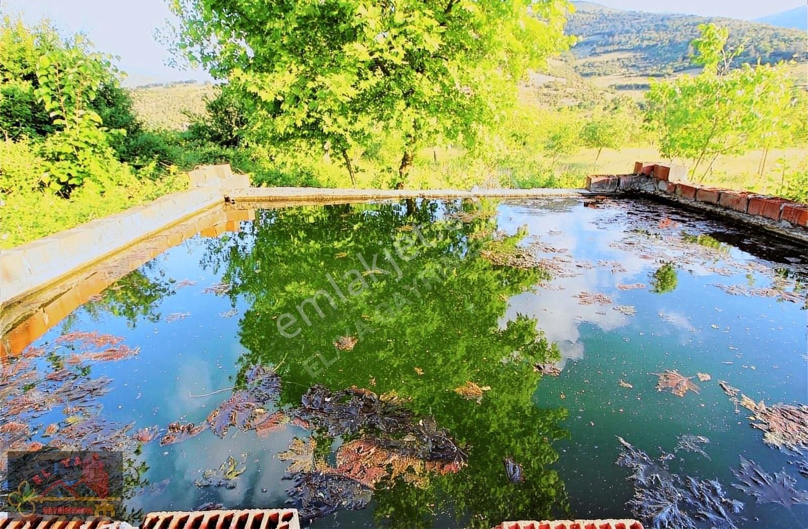 El/ya Ataköyde Köy İçerisinde 4288 M2 Arsa Taş Ev Yetişmiş Ağaç - Görsel 19