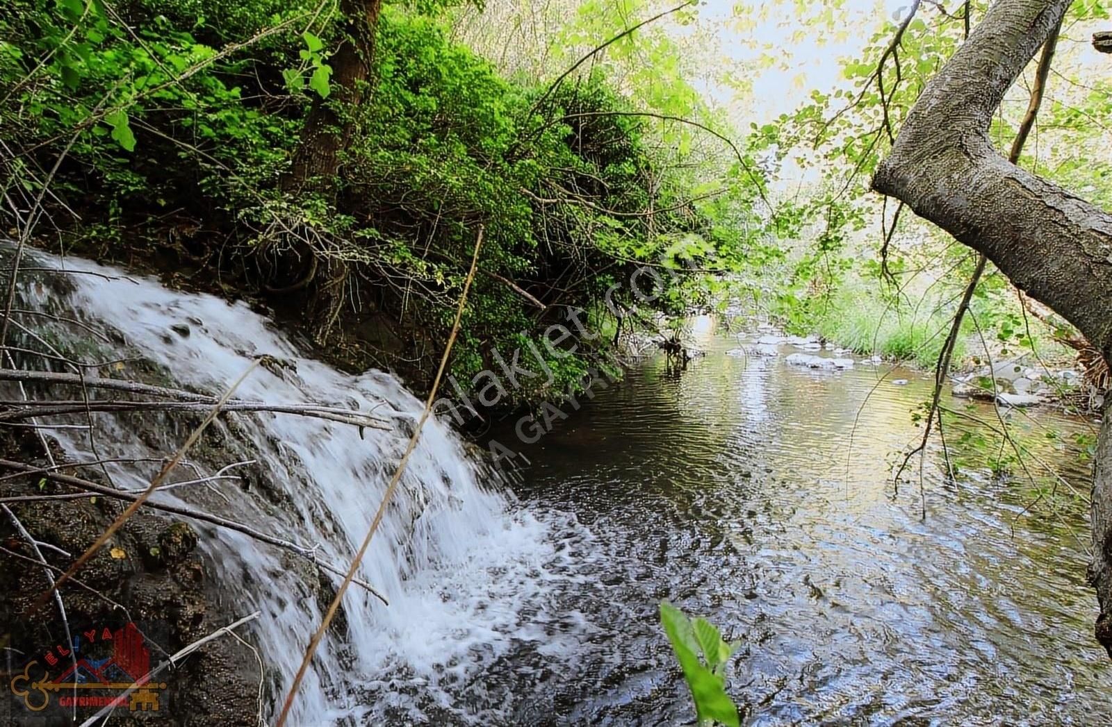 El/ya Ataköyde Köy İçerisinde 4288 M2 Arsa Taş Ev Yetişmiş Ağaç - Görsel 9