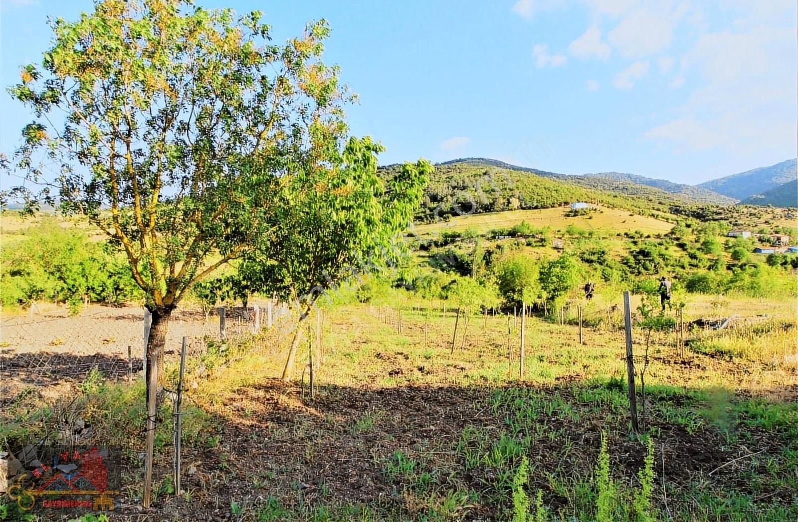 El/ya Ataköyde Köy İçerisinde 4288 M2 Arsa Taş Ev Yetişmiş Ağaç - Görsel 13