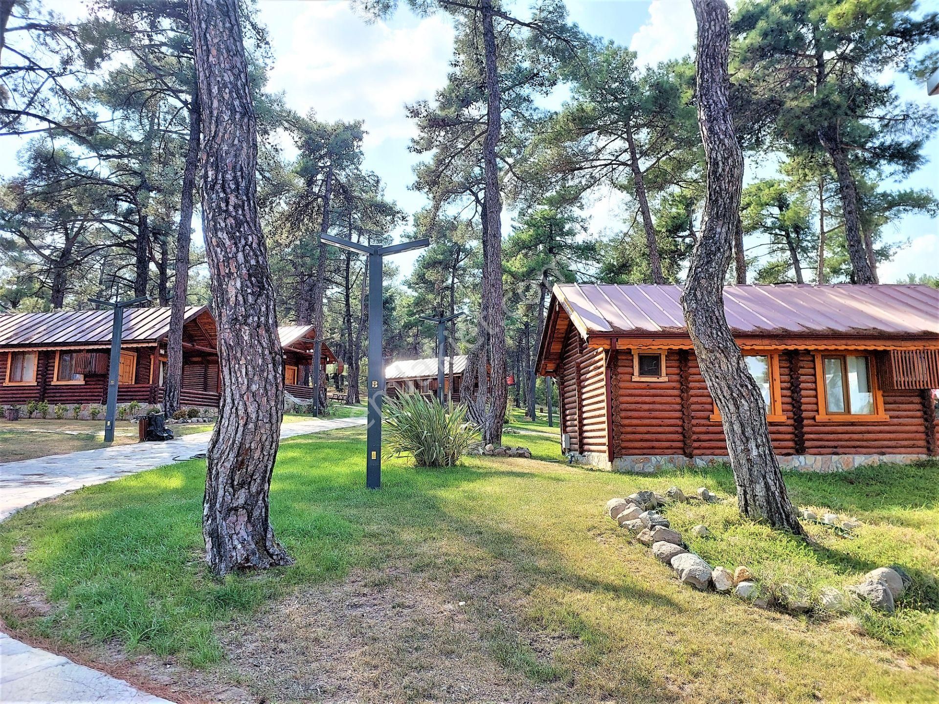 El/ya Ataköyde Köy İçerisinde 4288 M2 Arsa Taş Ev Yetişmiş Ağaç - Görsel 34