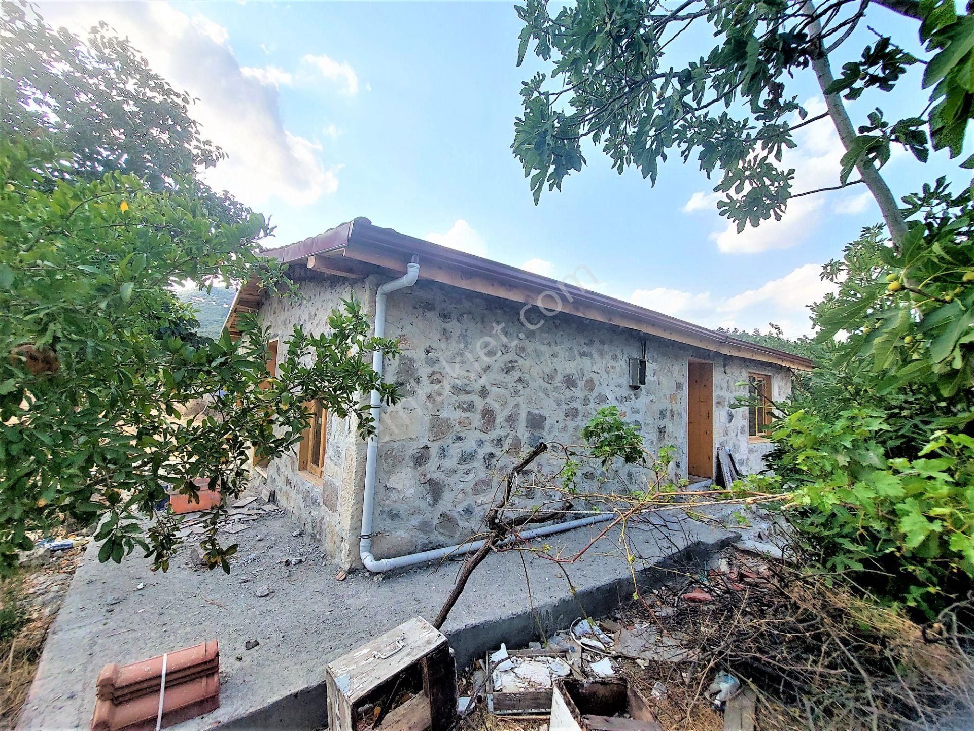 El/ya Ataköyde Köy İçerisinde 4288 M2 Arsa Taş Ev Yetişmiş Ağaç - Görsel 3