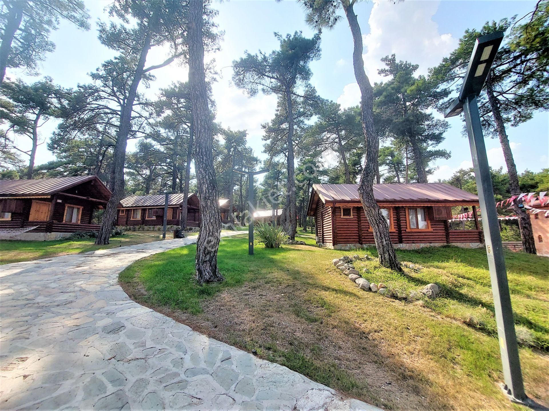 El/ya Ataköyde Köy İçerisinde 4288 M2 Arsa Taş Ev Yetişmiş Ağaç - Görsel 35