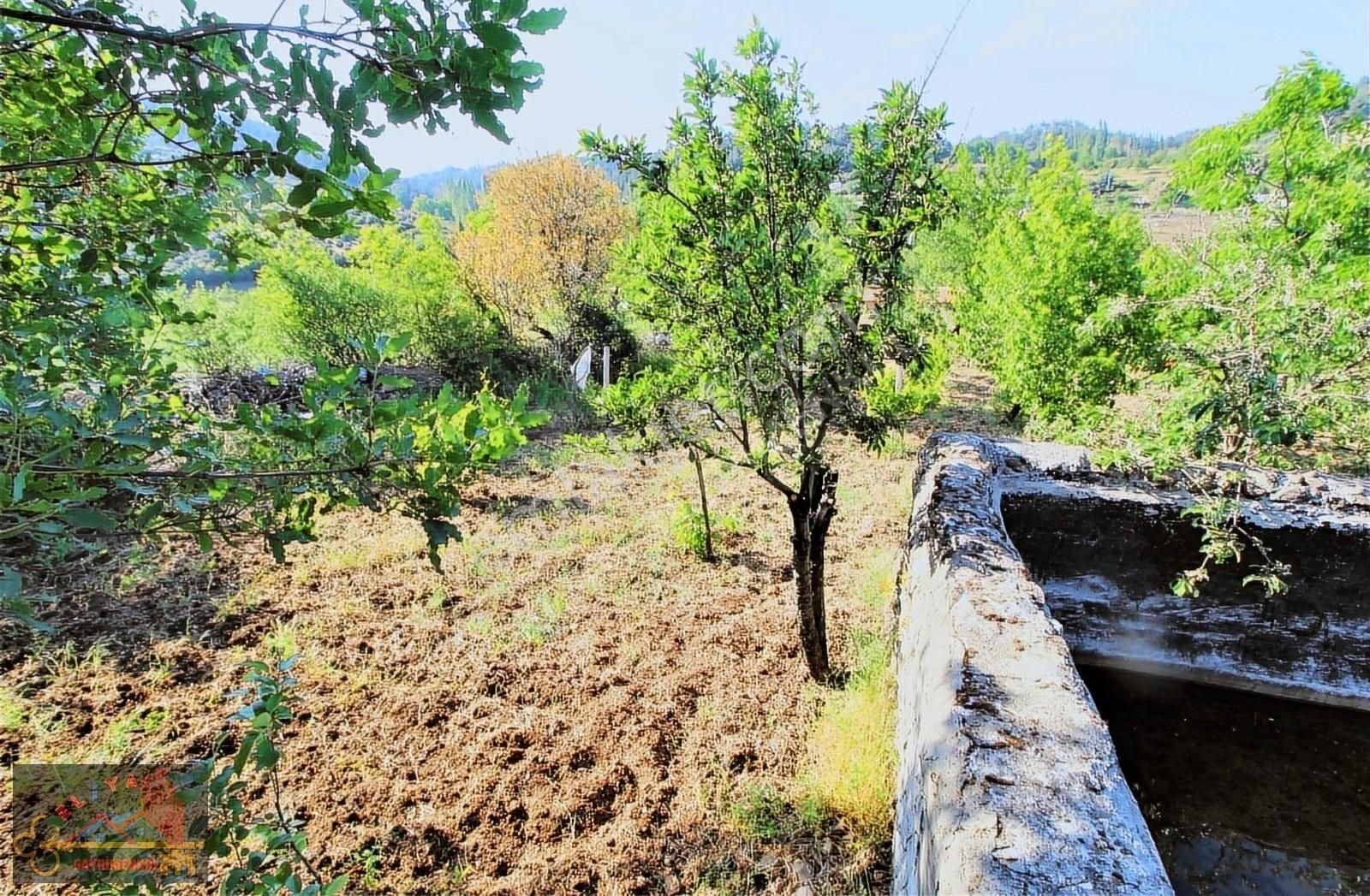 El/ya Ataköyde Köy İçerisinde 4288 M2 Arsa Taş Ev Yetişmiş Ağaç - Görsel 8