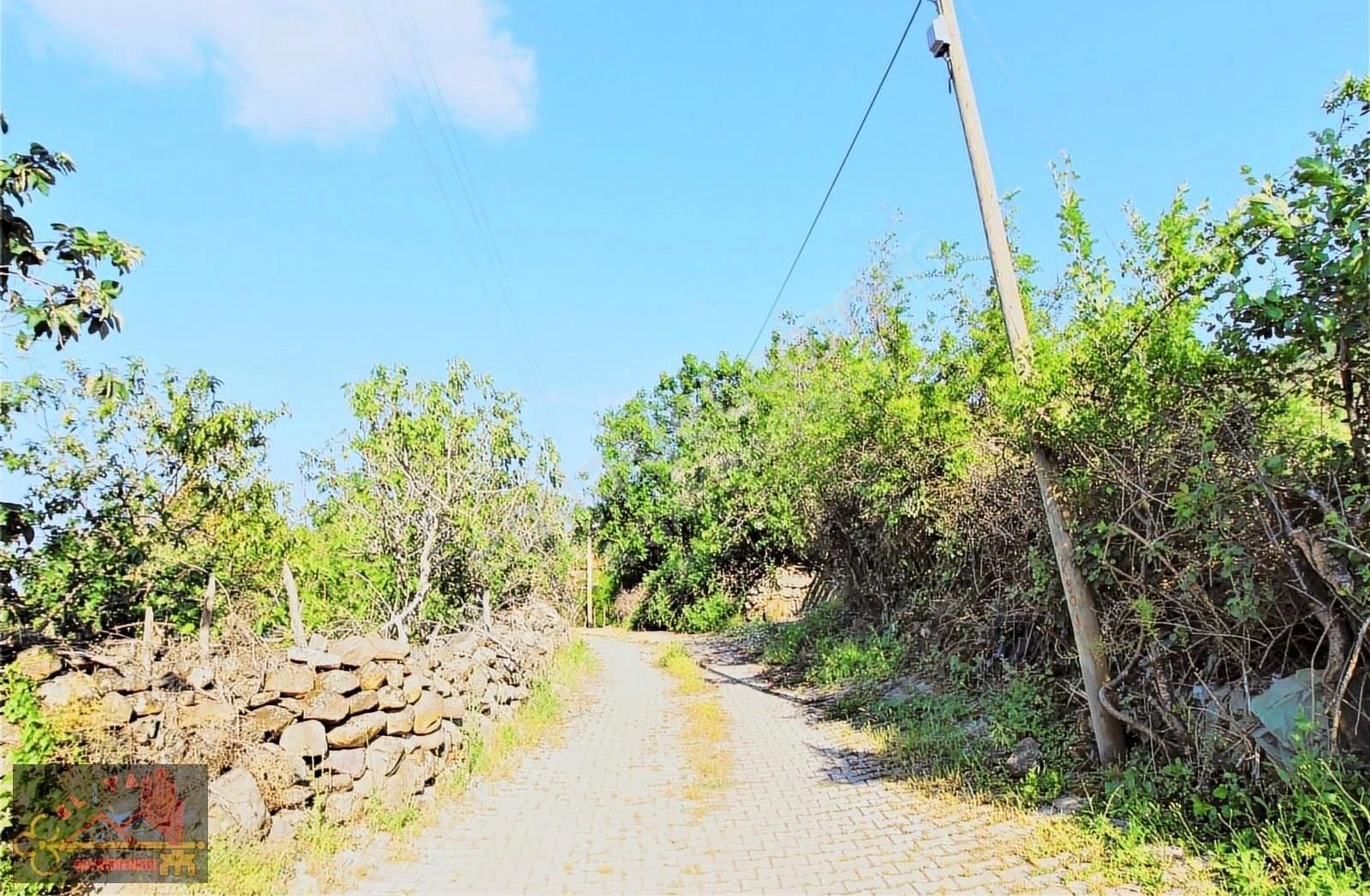 El/ya Ataköyde Köy İçerisinde 4288 M2 Arsa Taş Ev Yetişmiş Ağaç - Görsel 15