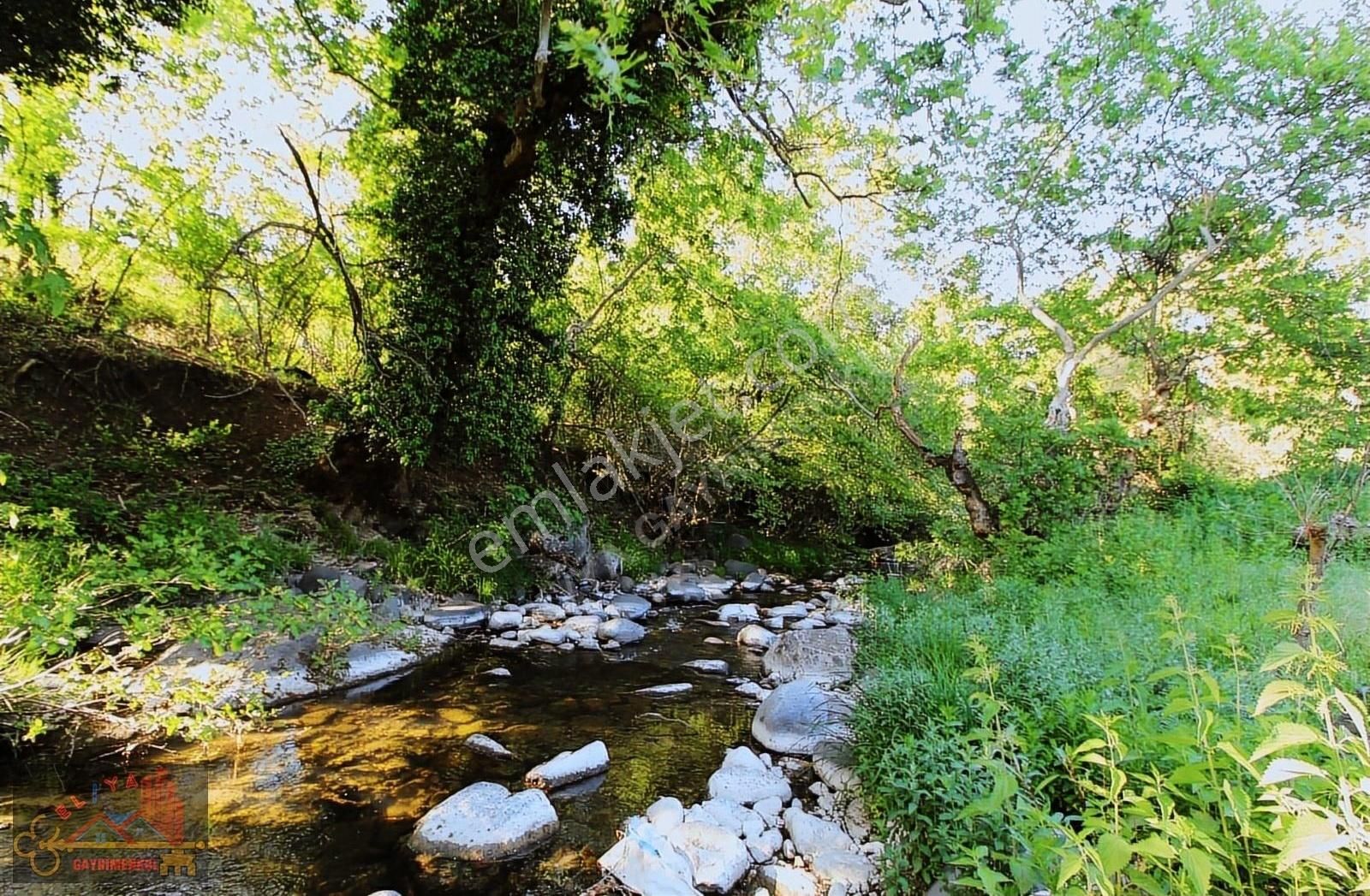 El/ya Ataköyde Köy İçerisinde 4288 M2 Arsa Taş Ev Yetişmiş Ağaç - Görsel 22