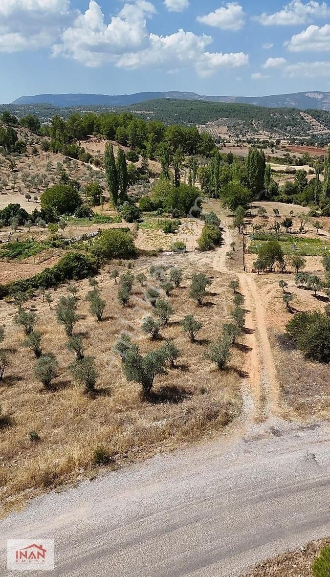 Menteşe Yenibağyaka Satılık Tarla Yenibağyaka Anayol Kenarında 7455 M2 Kuyulu Ağaçlı Tarla