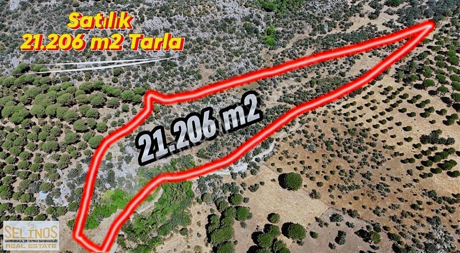 Bergama Çamavlu Satılık Tarla KOZAK YAYLASI ÇAMAVLU KÖYÜNDE 21.000 M2 TARLA