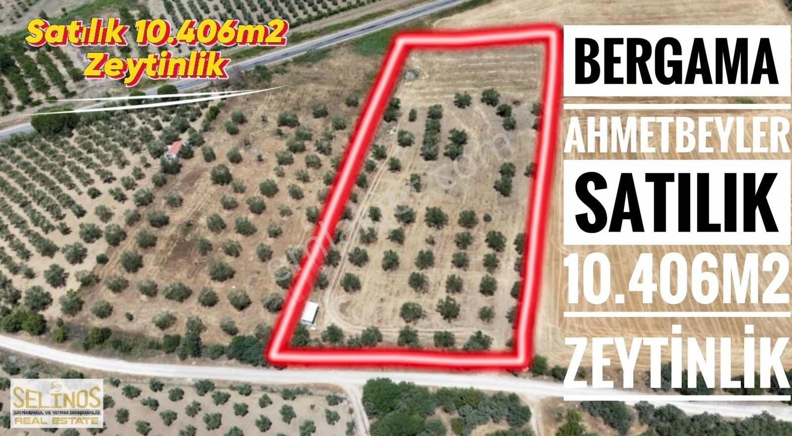 Bergama Ahmetbeyler Satılık Zeytinlik AHMETBEYLER KÖYÜNDE 10.406 M2 ZEYTİNLİK