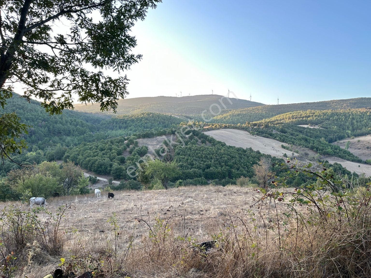 Çanakkale Merkez Çamyayla Köyü Satılık Tarla ÇANAKKALE MERKEZ ÇAMYAYLA KÖYÜNDE İMARA YAKIN 18.100 M2 TARLA 